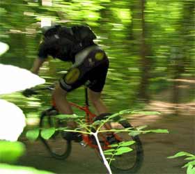 Soul Photo