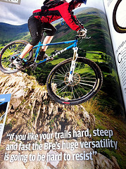What Mountain Bike
