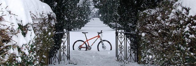 cotic soul snowy ride