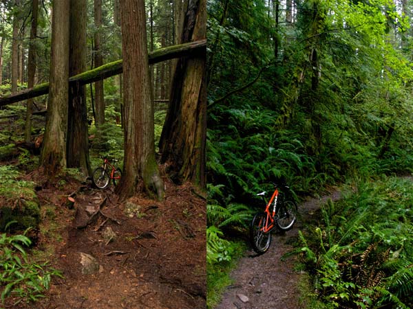 Simple in BC