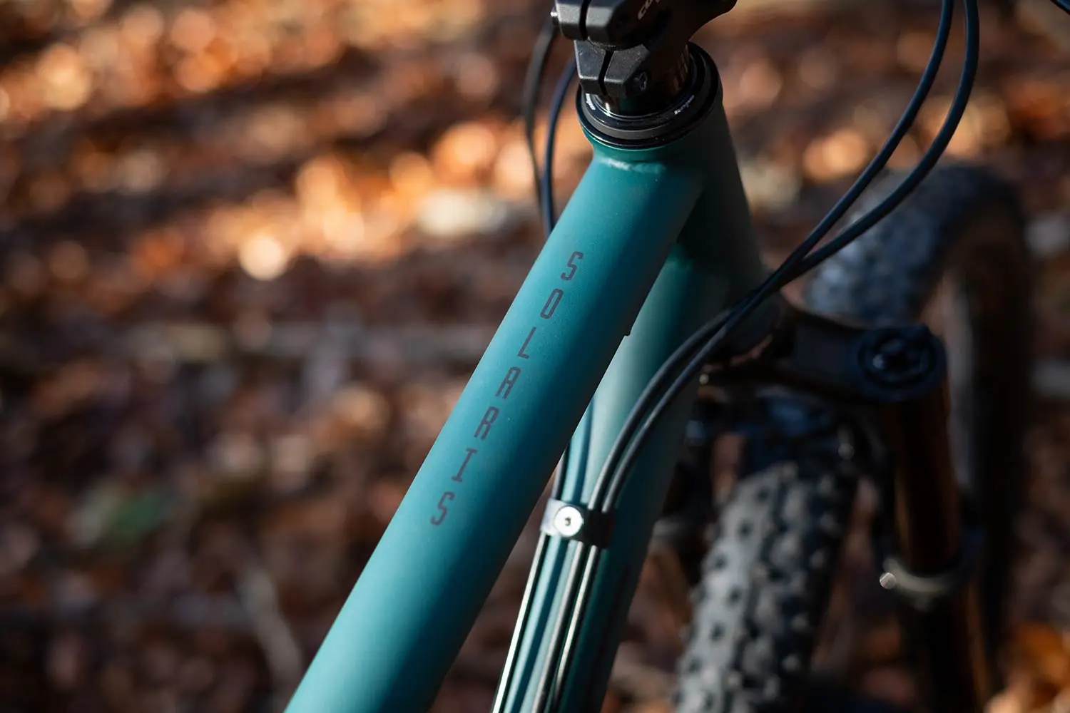 Cotic Solaris in Forest, 853 steel 29er hardtail