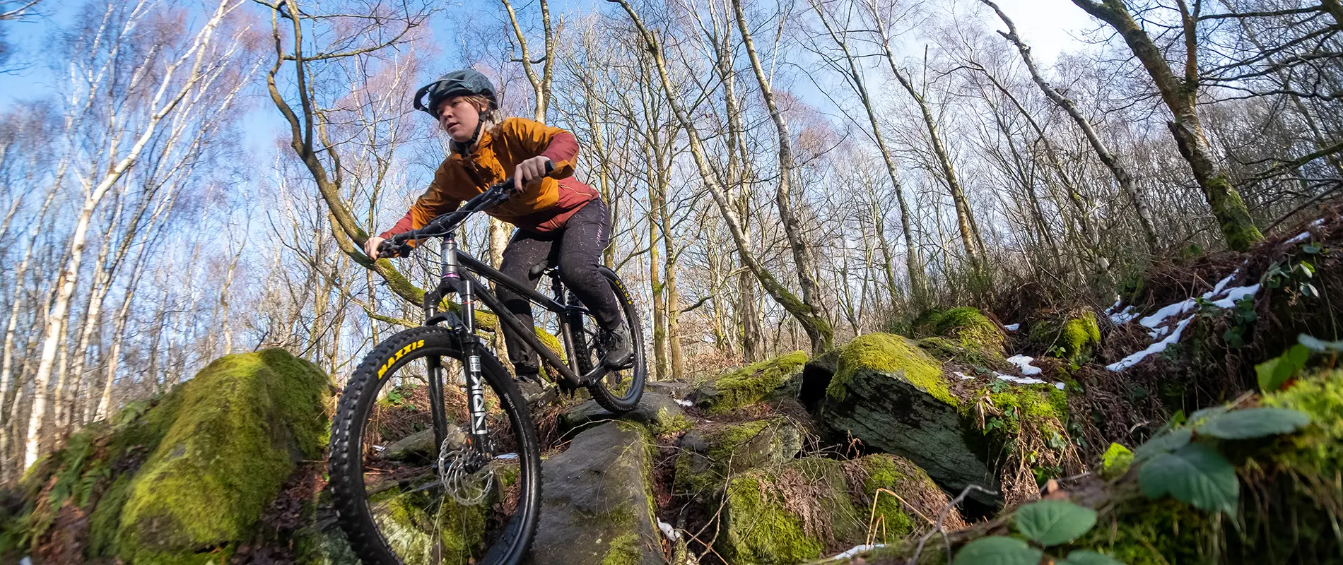 Cotic BFe Mullet or 29er steel hardtail
