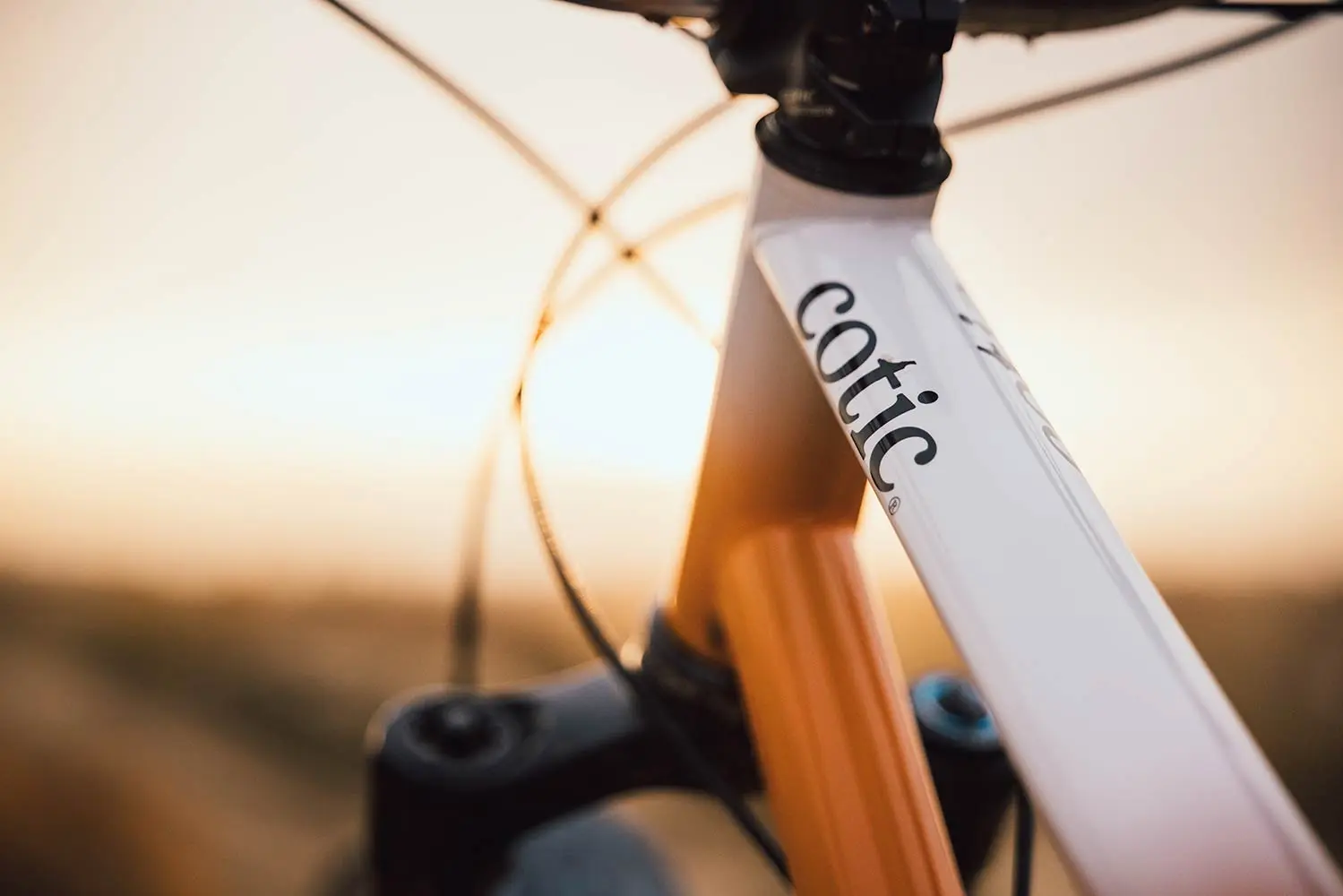 Cotic Jeht UK made high performance steel mountain bike