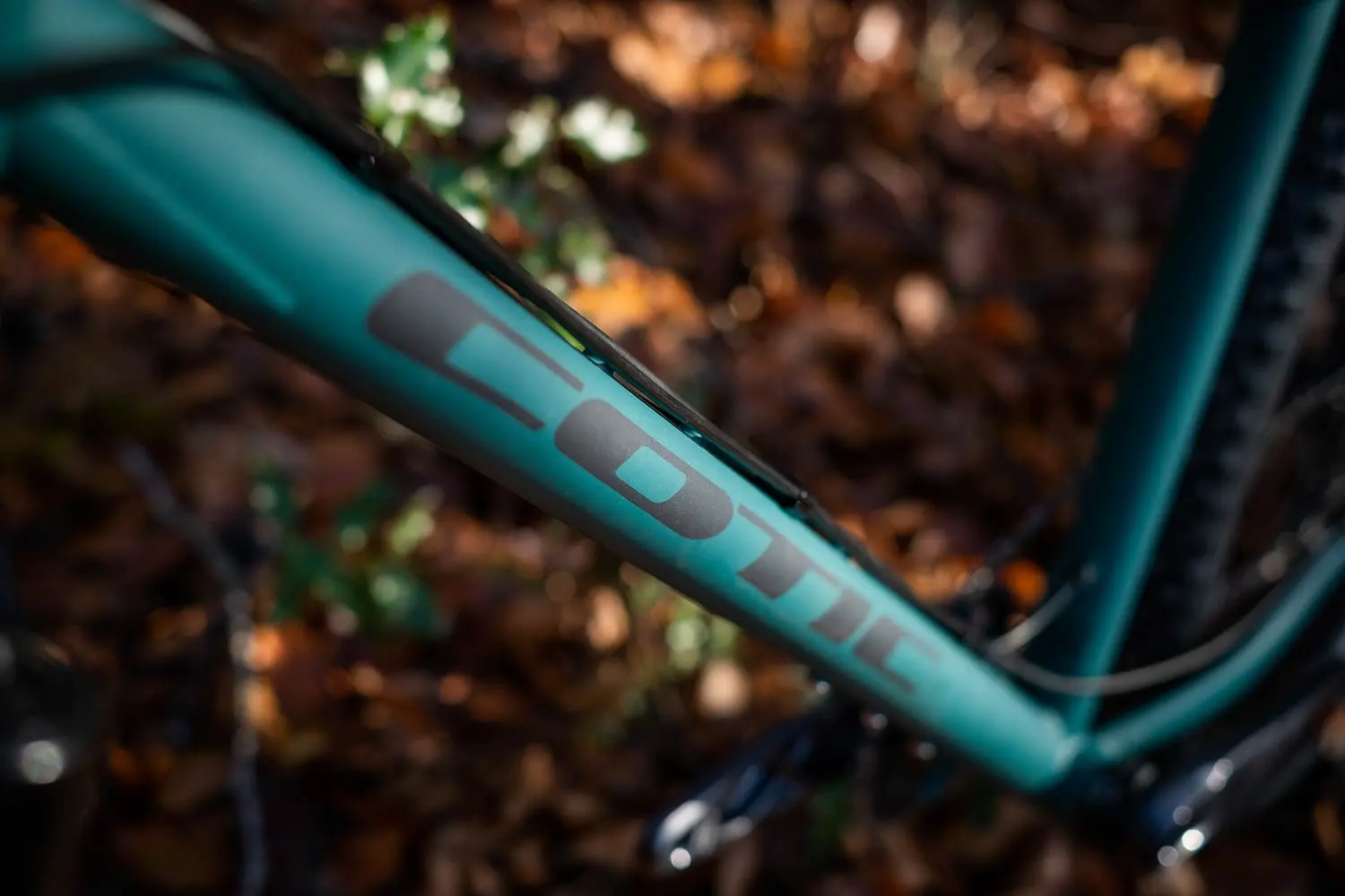 Cotic Solaris in Forest, 853 steel 29er hardtail