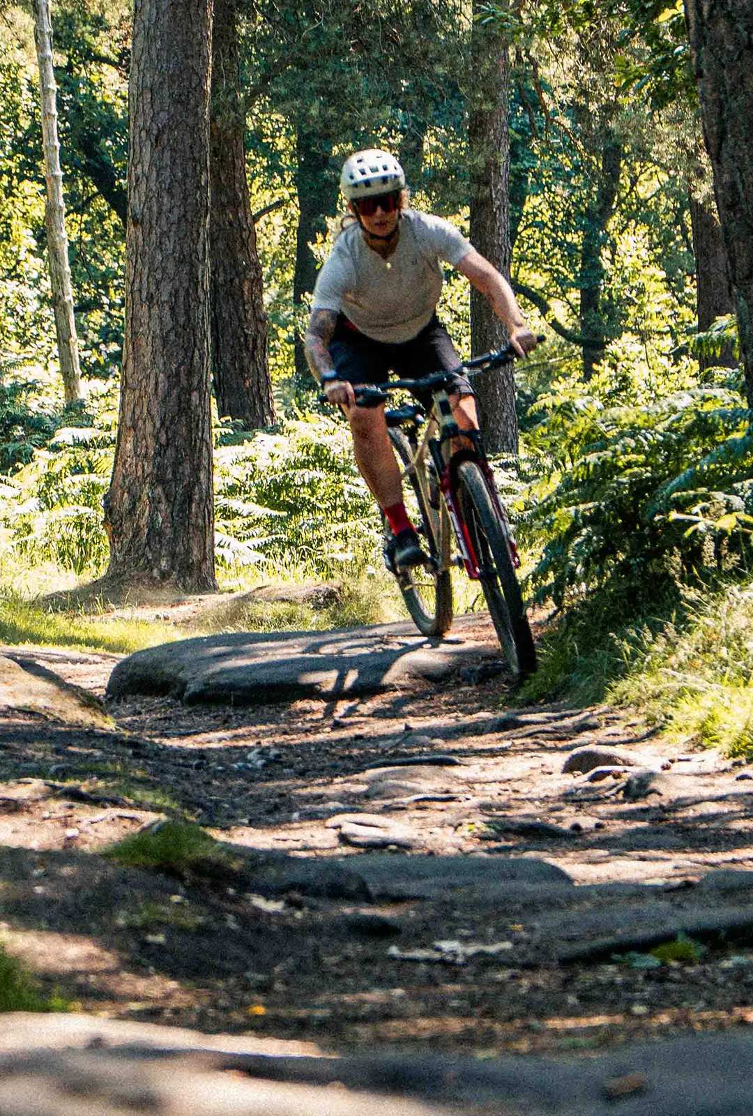 Cotic Solaris 853 29er hardtail